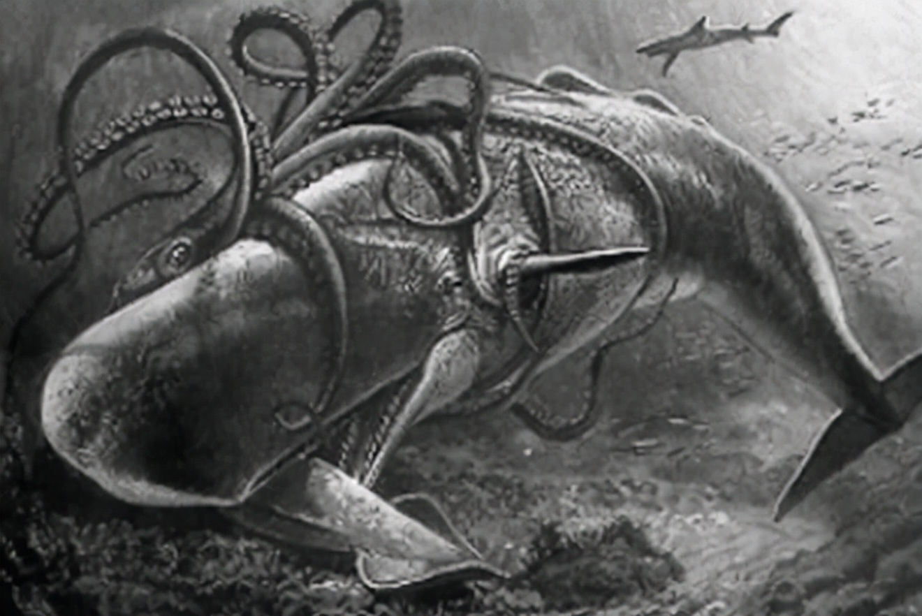 深海真实恐怖巨物,摄魂怪原型冥河水母