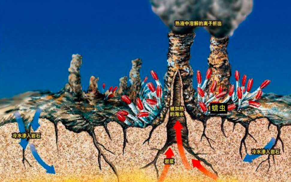 热液盲虾生活在450℃海底热泉旁，数量惊人，能不能用来烫火锅？