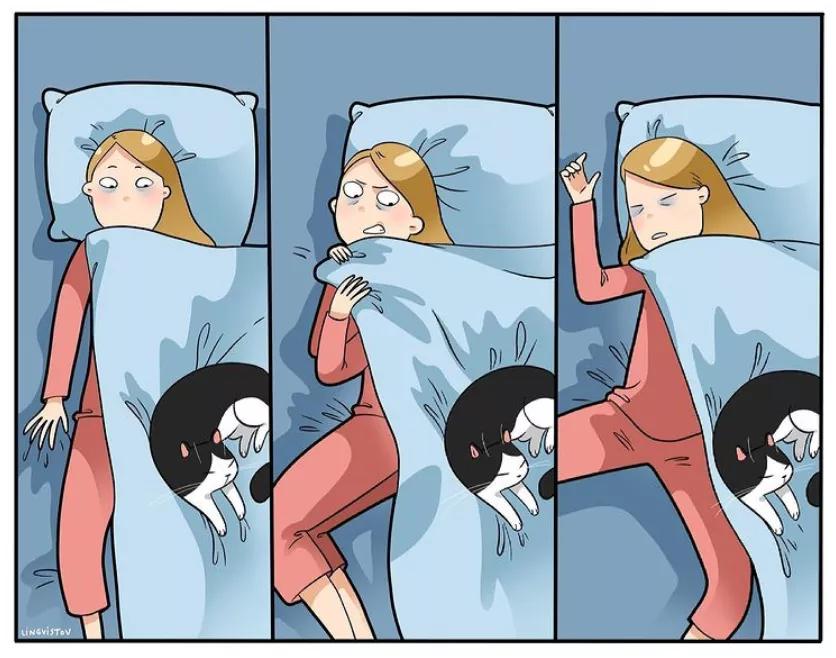 铲屎官和猫主子超级可爱的日常,喵星人与铲屎官一同成长记