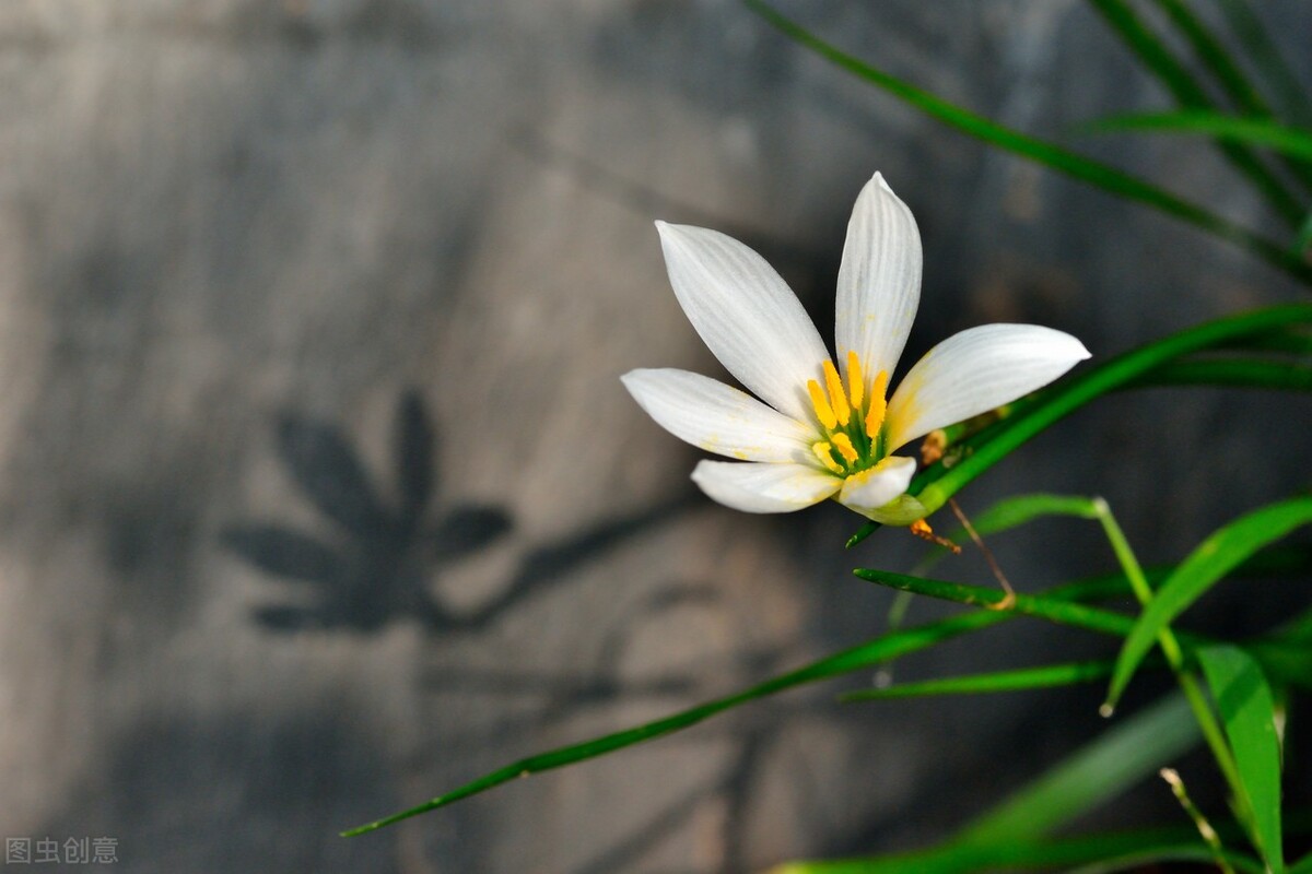 投射自我是自己对他人的认识,你对待别人的看法就是自己的投射