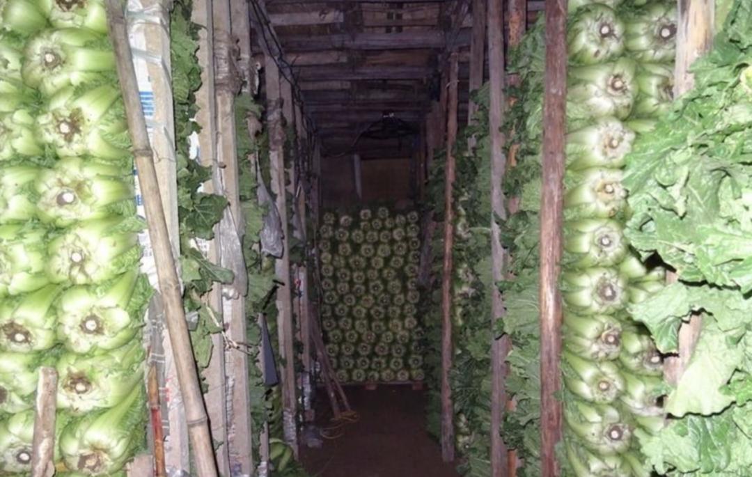 当一个南方人在北方吃西瓜,当一个南方人在北方点一个菜