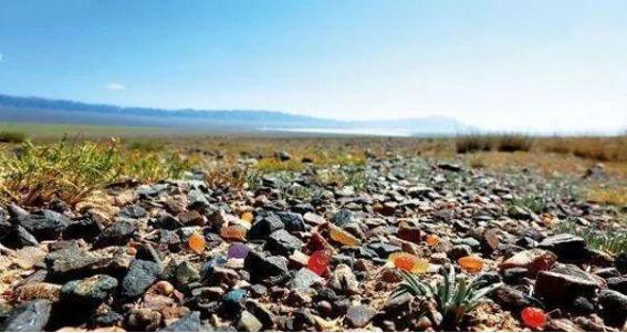 *疆新**10个捡石头腹地曝光！有一种致富方式叫去*疆新**捡石头！