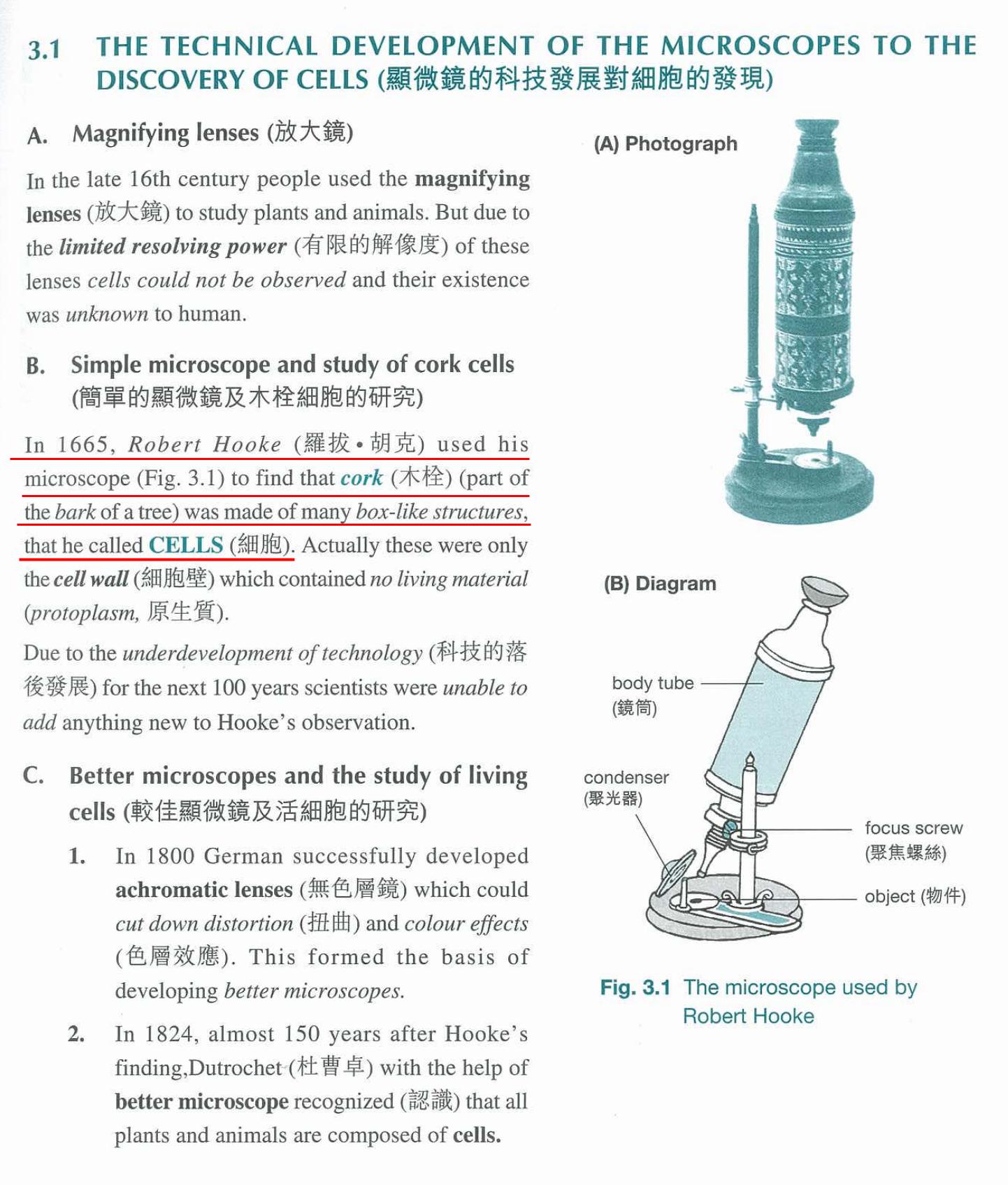 背单词徒增烦恼识词源外语学习真简单