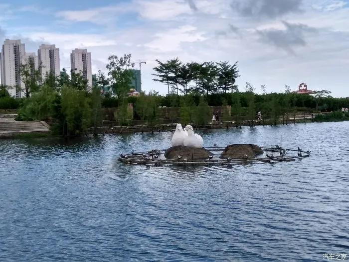 江阳美丽的风景,江阳景点热门排行榜