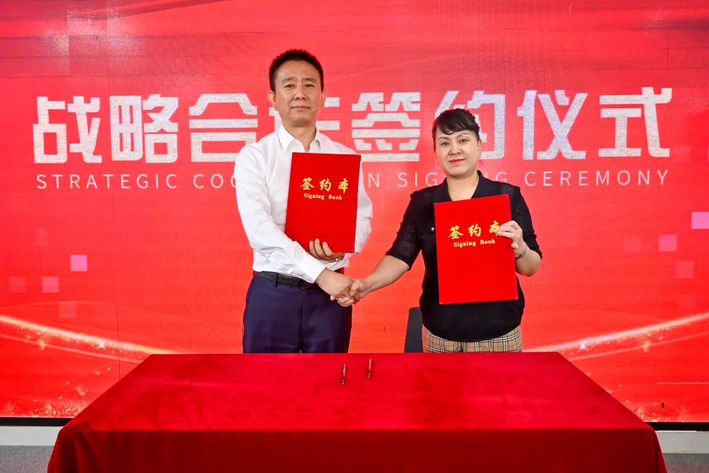 全球蛙和美特好的关系,美特好全球蛙营销策略