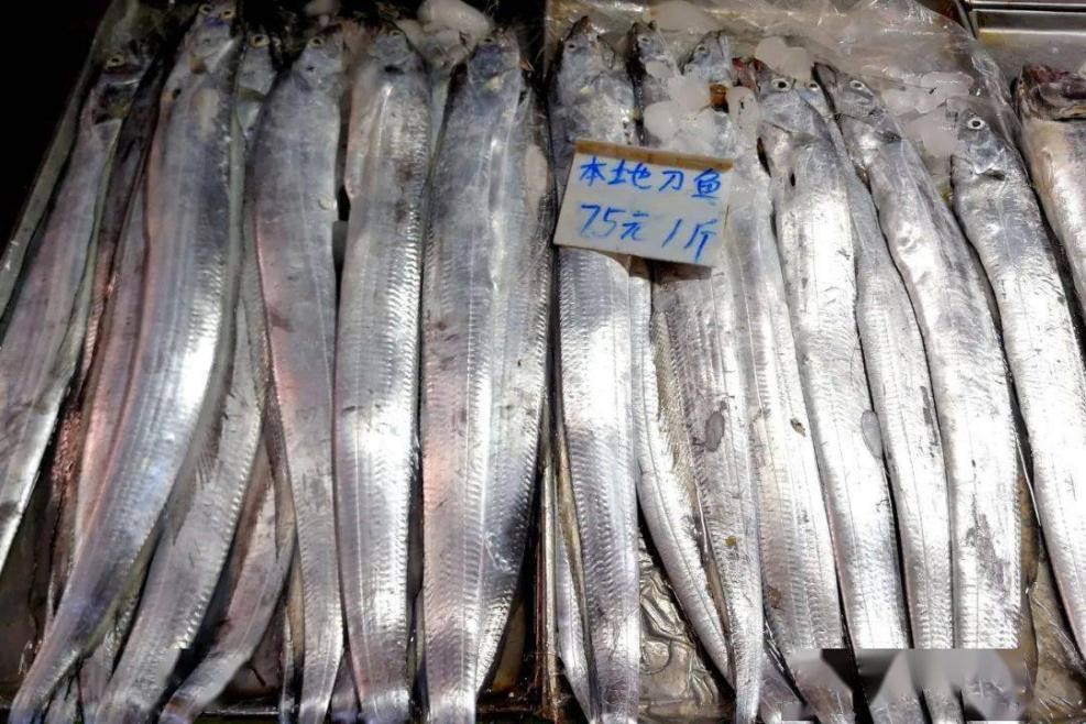 长江十年禁渔江豚动画,长江禁渔十年是为了江豚吗