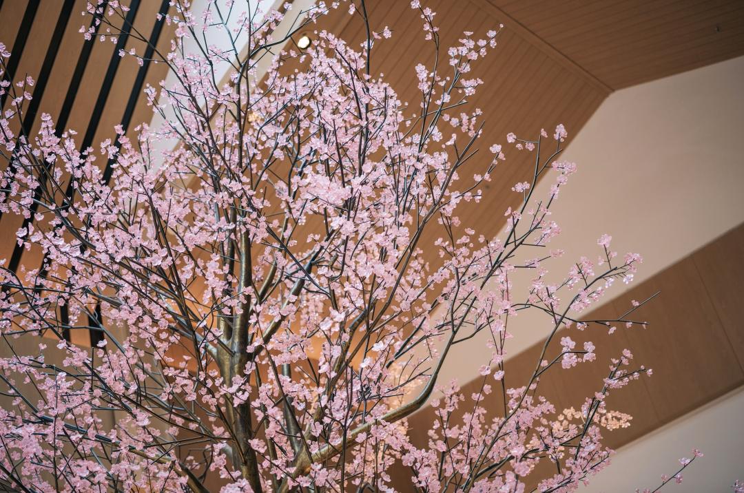 园博园实地体验攻略,园博园预约攻略