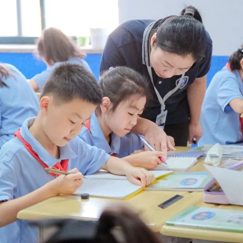 青岛热门学校报录比,报录比最高的985211