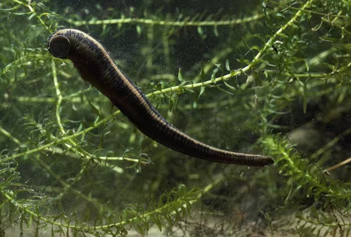 初识勐腊,初识普洱