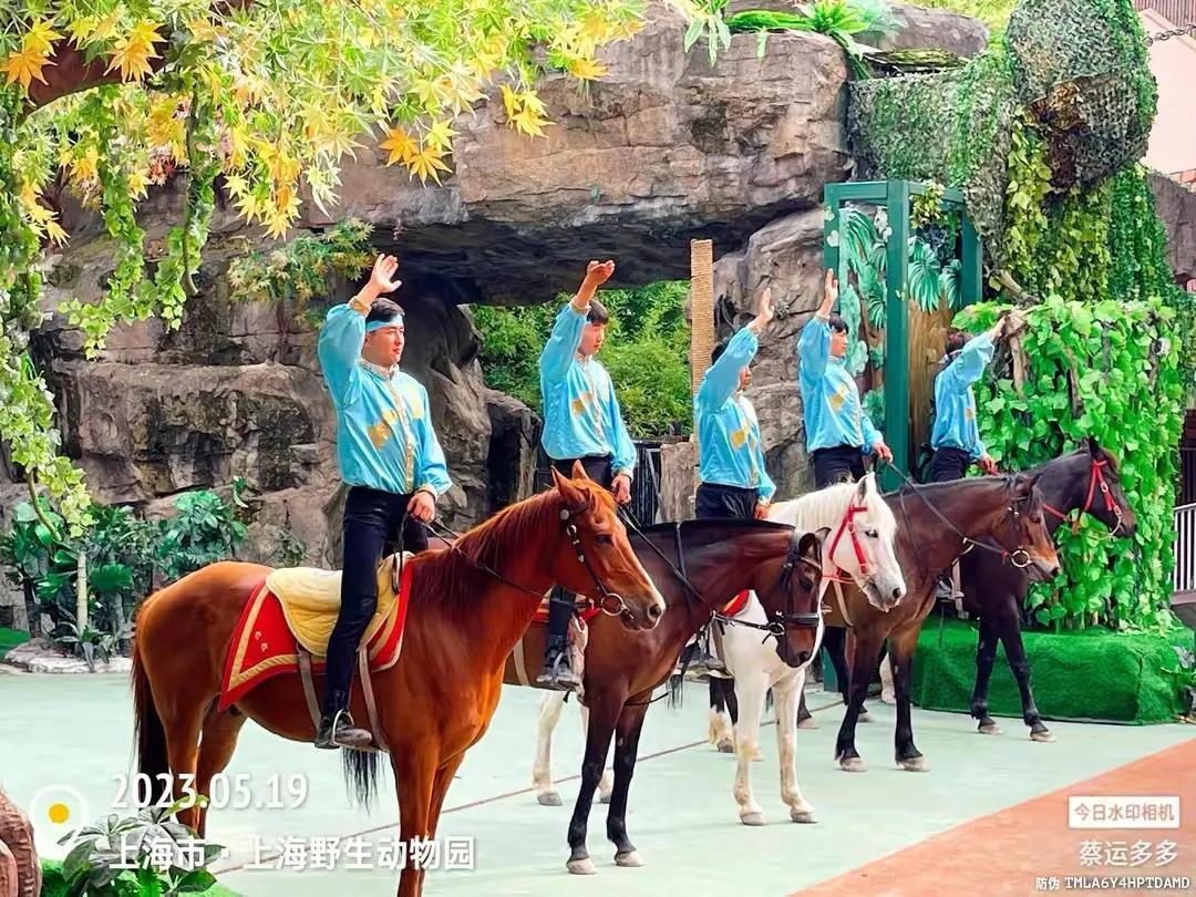 中国最大的野生动物园是哪个城市,中国最大野生动物园