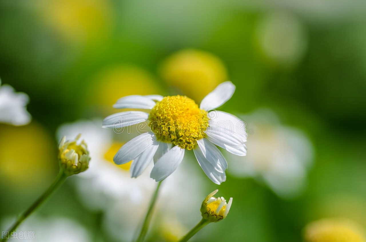 男人爱不爱你看他手机就知道了,一个男人爱不爱你是能感觉得到的
