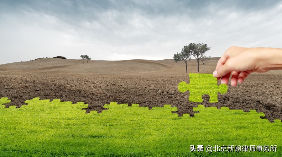 土地被村委会强占、出租、转卖,你数钱我却无地可种怎么办?