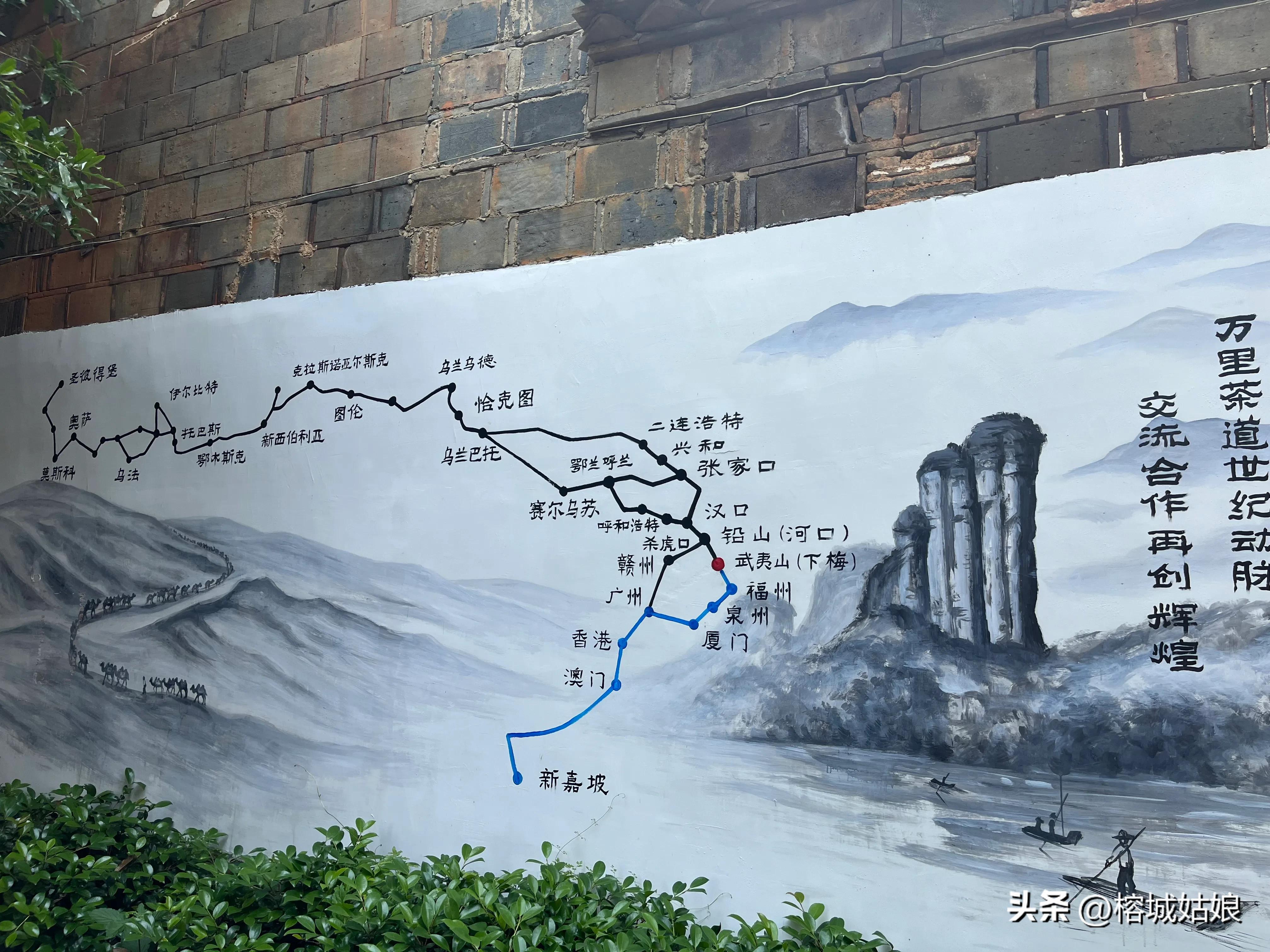 茶港历程,东方茶港历史