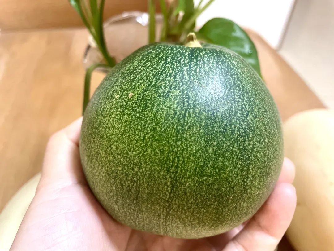 武汉美女：夏天要吃这些好瓜，藤蔓上的水果冰淇淋