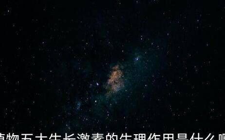 植物生长素的作用特点是什么,植物生长素的生理效应