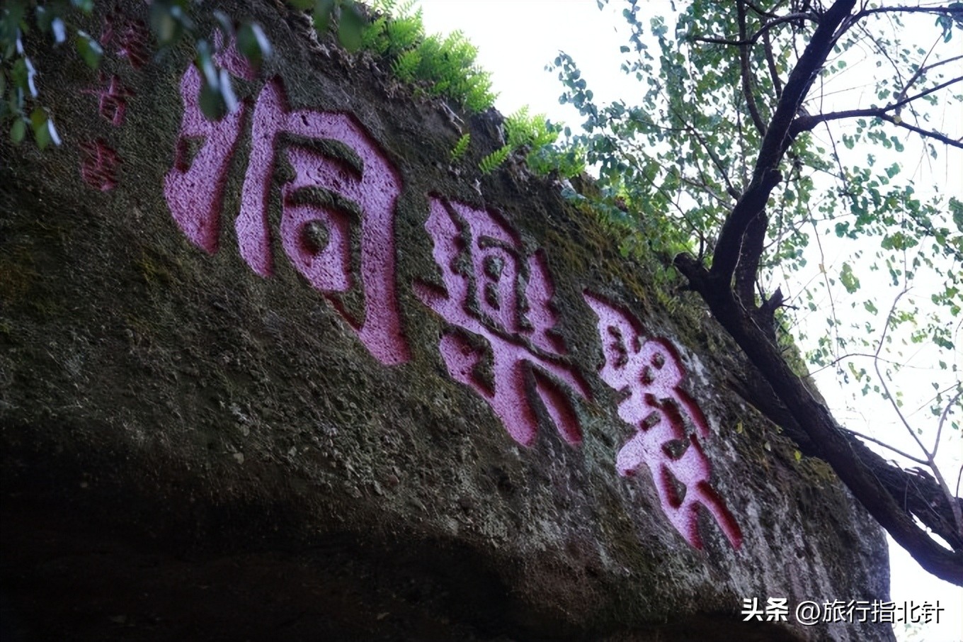 福建旅游攻略武夷山,福建武夷山旅游攻略一日游