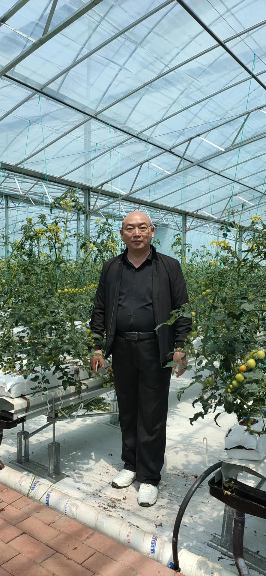 企业的使命愿景价值观如何落地呢,企业发展理念与使命愿景价值观