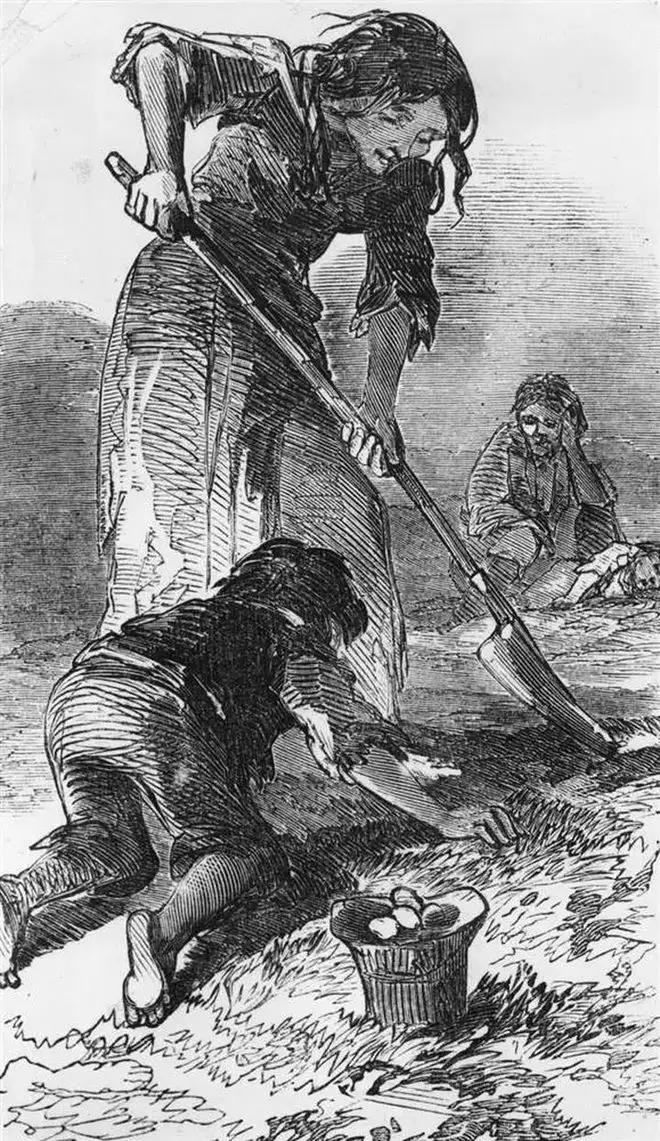 英国女王去世和我们有关吗,英国女王去世对英镑的影响