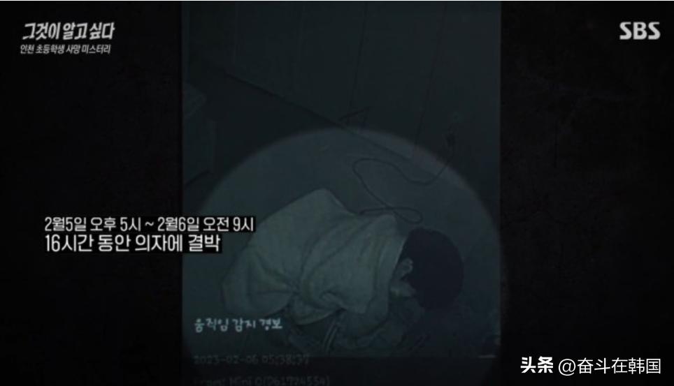 2016年韩国虐童事件,韩国虐童致死养母被判无期徒刑