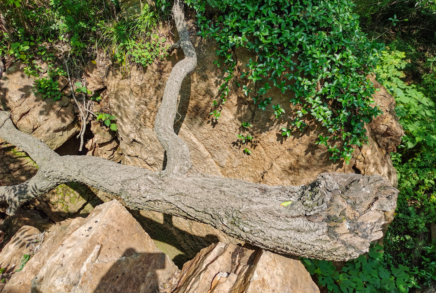 背包小鹰osprey,小鹰魔爪26背包功能详解