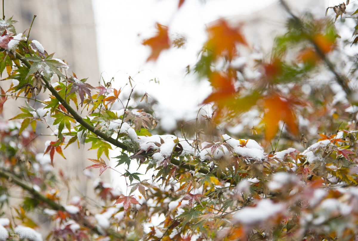 连续第二场雪,第六场雪