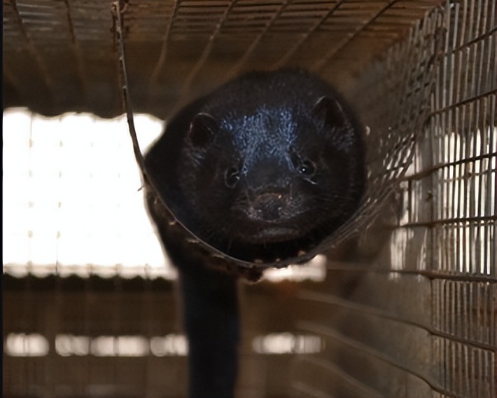 小伙创业年亏40万后逆袭,小伙创业亏损600万