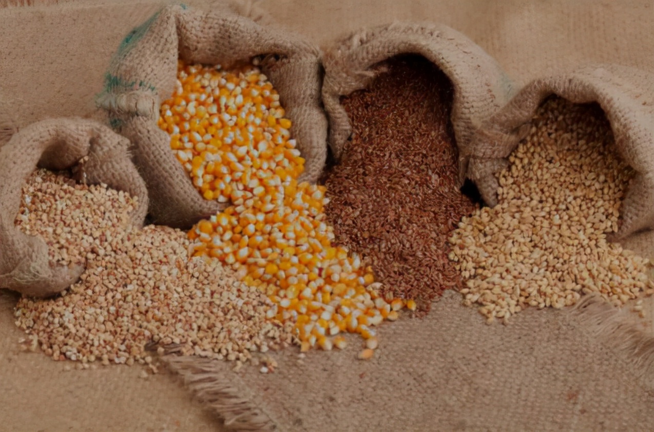 女性怀孕吃叶酸会使孩子变聪明吗,女人每天吃叶酸皮肤会变好吗