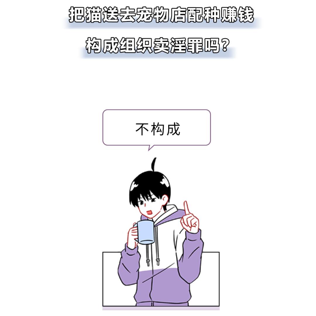 被峨眉山猴子打可以反击吗,峨眉山猴子被人类反杀