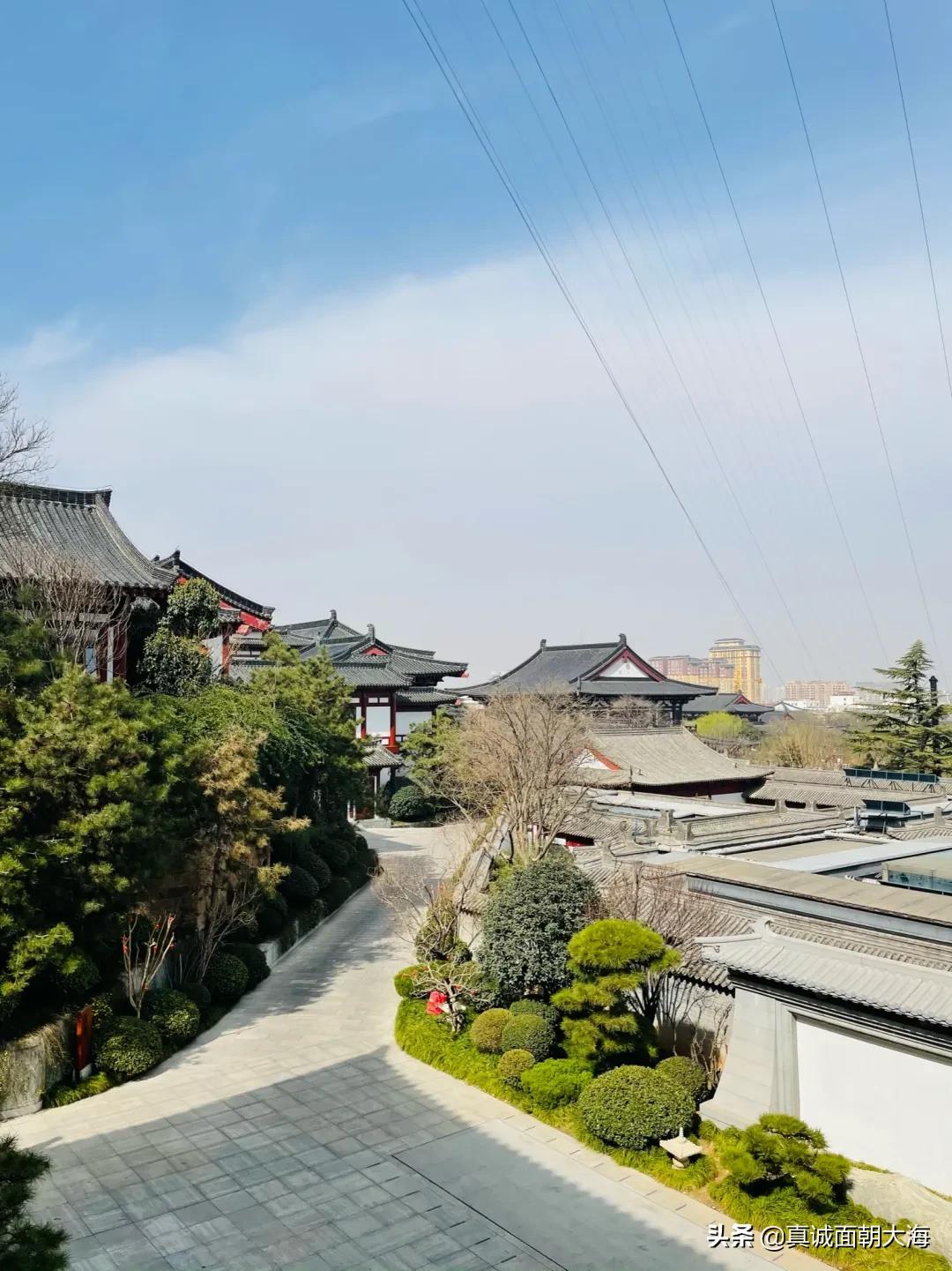 冬天商河温泉一日游,偷得浮生半日闲下午溜出来泡温泉