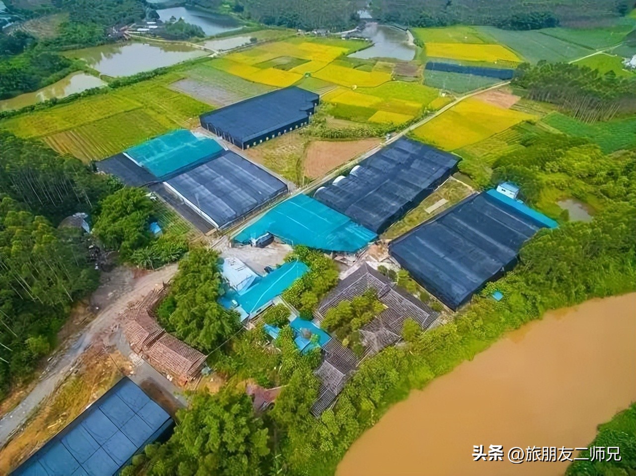 佛山去江门旅游景点推荐,佛山去江门旅游攻略