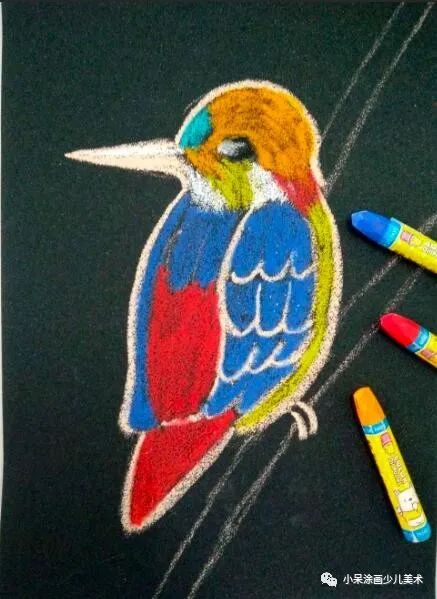 翠鸟生活环境,翠鸟育雏全集完整版