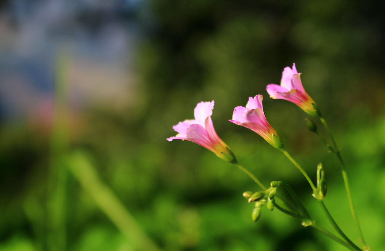 亲戚朋友随礼标准,亲戚之间关系再好随礼要讲究细节