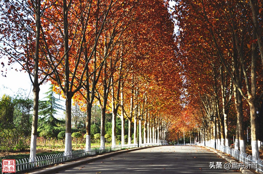 7月郑州凉快遛娃公园排行榜,郑州龙子湖避暑遛娃的地方