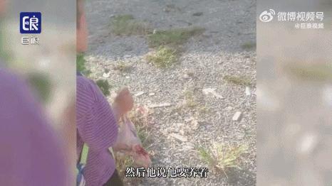 把孩子宠物煮熟来吃,还拍短视频博眼球?这种流量密码不要也罢