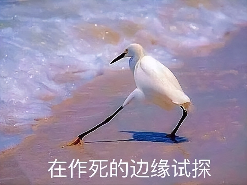 盘点那些年被腾讯关服的良心游戏,腾讯游戏停运的十大游戏