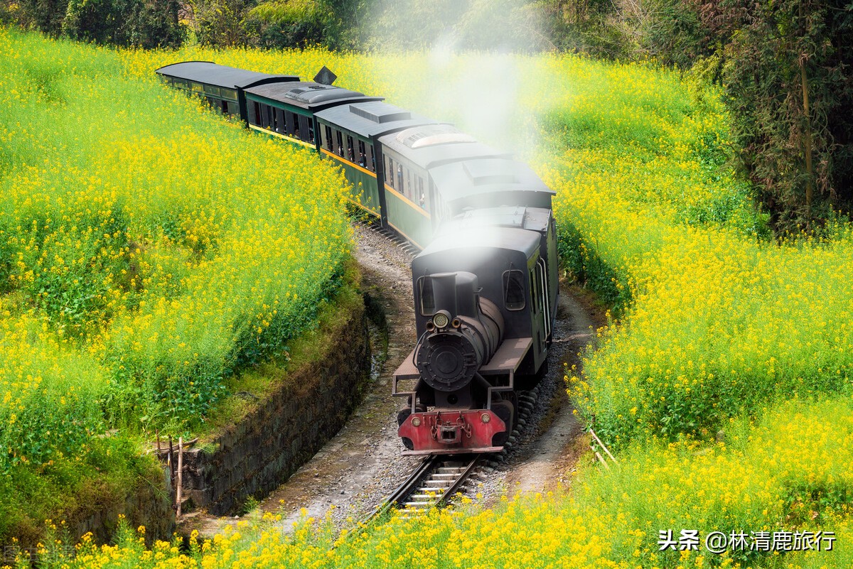 中国四季如春最适合养老的地方,这里是养老避寒不能错过的地方