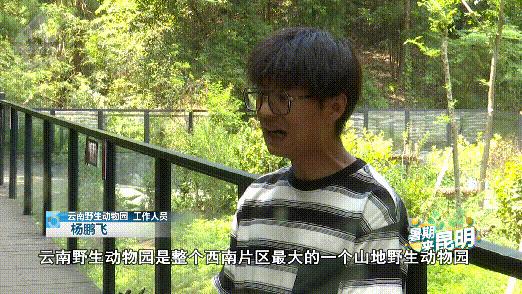 昆明动物世界野生动物园,昆明大自然野生动物园