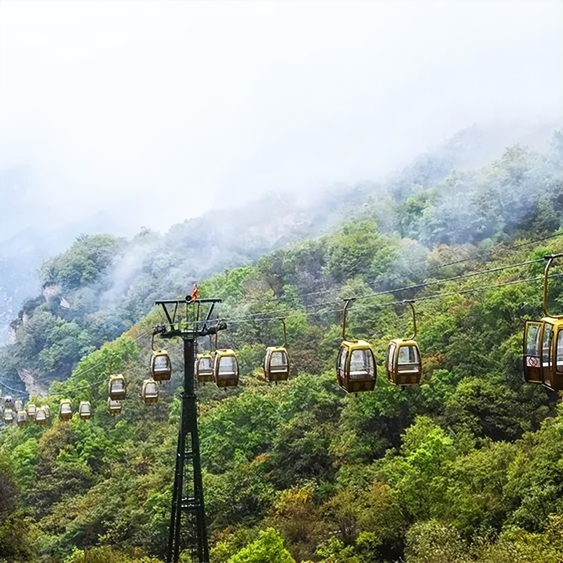 不觉秋已至的古诗,不觉秋已至绝美的平原之秋