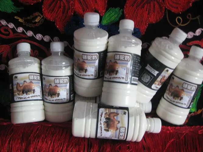 牛奶羊奶骆驼奶粉谁最更有营养,牛奶骆驼奶羊奶哪种营养价值最高
