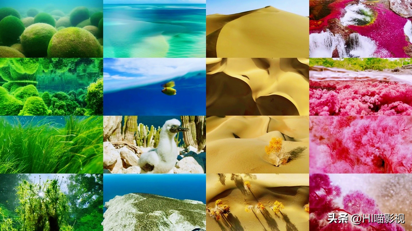 提高认知增长知识的高分纪录片,孩子必看的5部纪录片