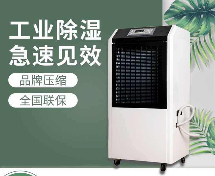 饭店地面专用除潮湿机,房间潮湿用大功率除湿机