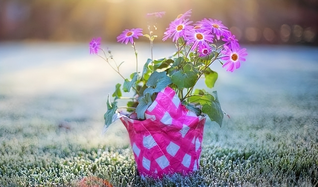 当你过得差连亲戚都瞧不起,当你过得不好连亲戚都瞧不起你