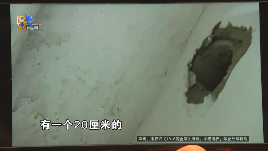 森林里发现米奇妙妙屋,米奇妙妙屋老鼠