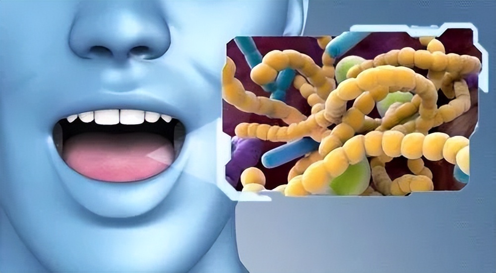 鍙ｈ嚟鍚冧粈涔堢泭鐢熻弻璋冪悊,鍠濅簡鍚堢敓鍏冪泭鐢熻弻鍙ｈ嚟