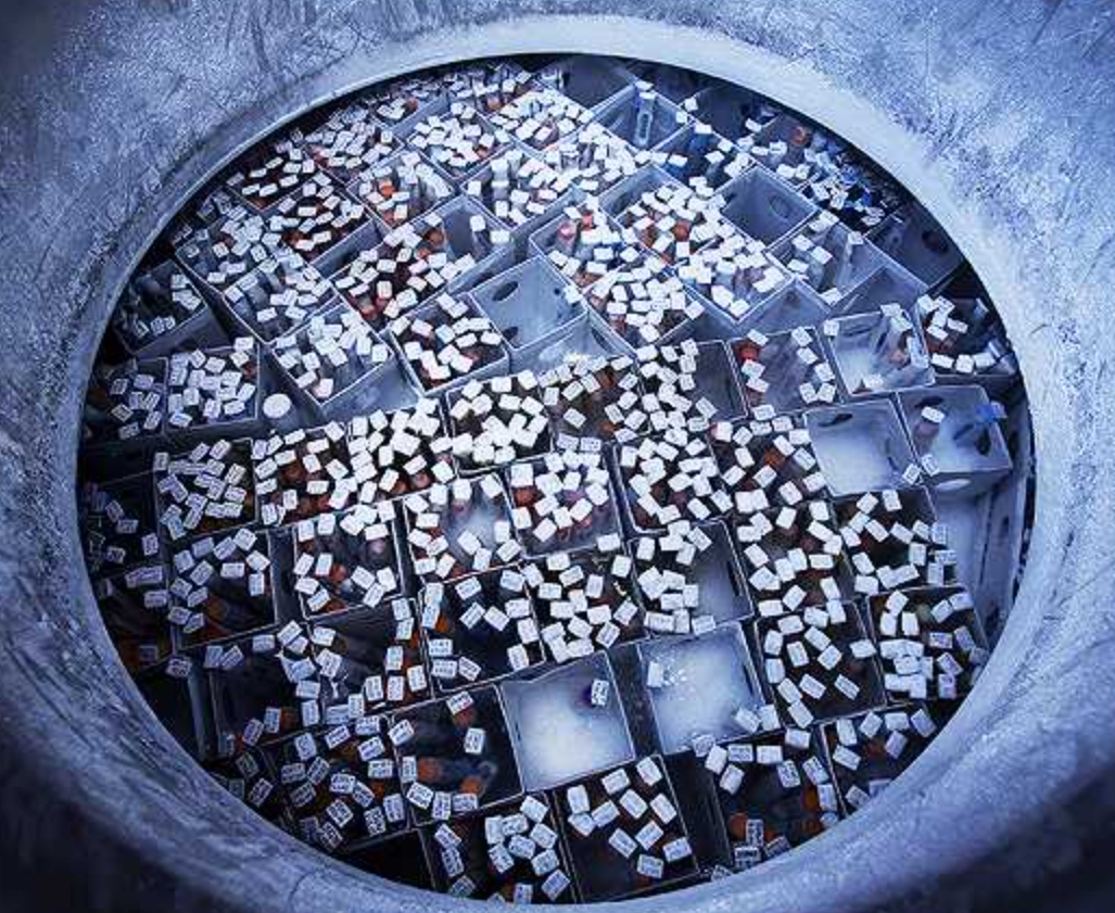 最强“配种王”一年捐精超百次：日本人为了“小蝌蚪”多么疯狂？