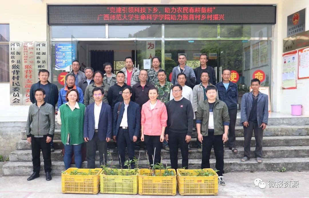 桂林向您汇报,桂林向您汇报临桂篇