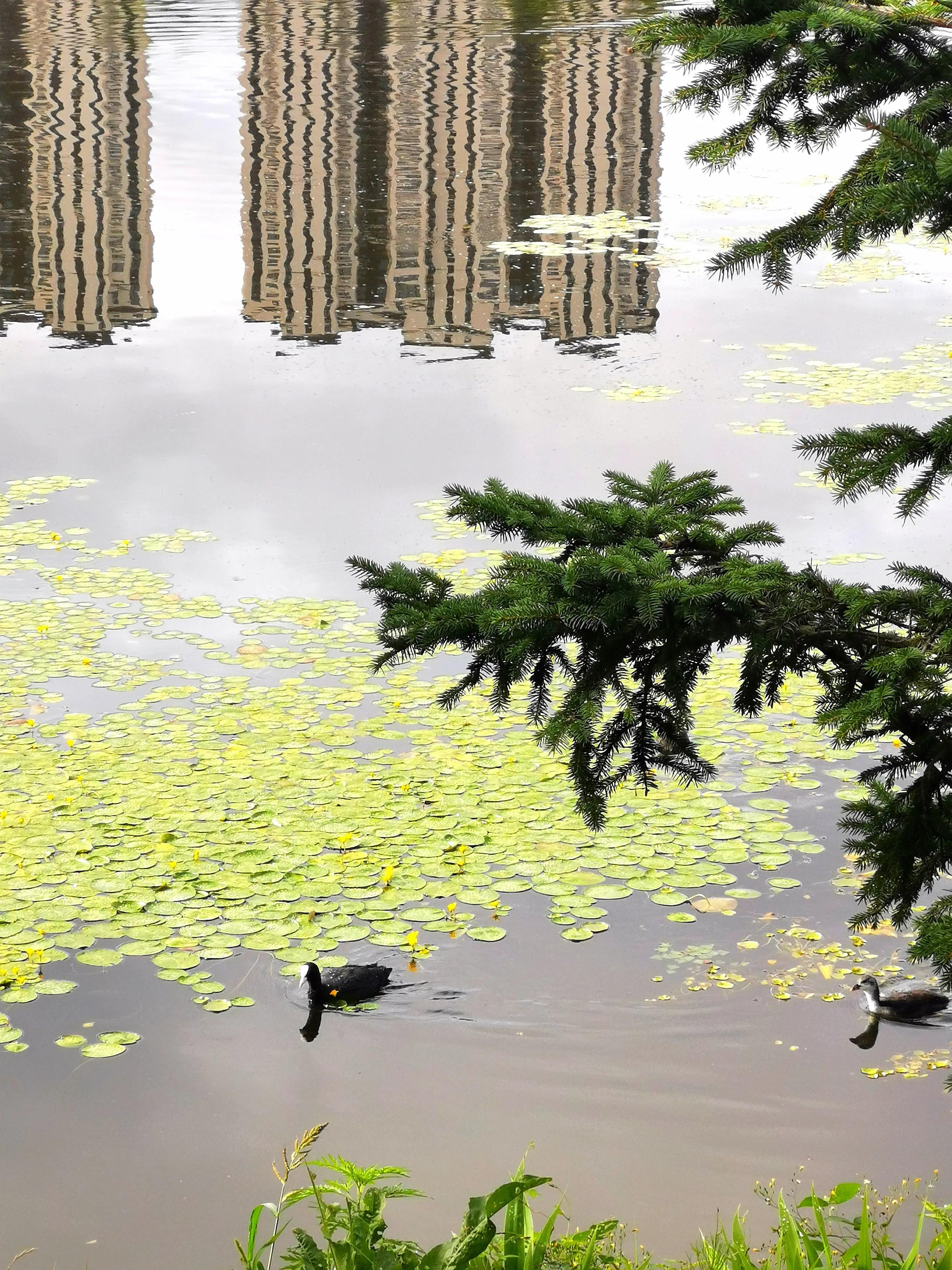 长春市南湖公园和南溪小镇,长春北湖湿地和南溪谁大