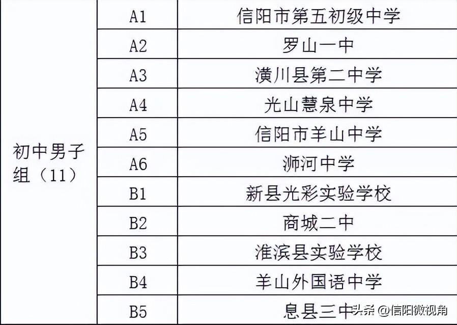 信阳第六届足球比赛冠军,信阳市第七届市长杯羊山中学