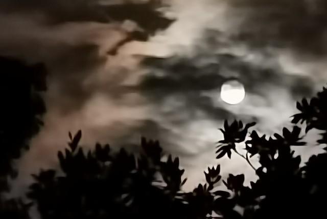 禁忌之恋中的爱情观,禁忌爱情深度解析