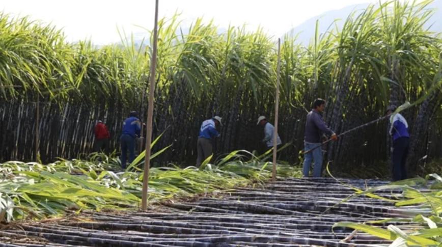 月经耽误工作怎么办？每年有10万印度女人割掉子宫，只为多挣钱！